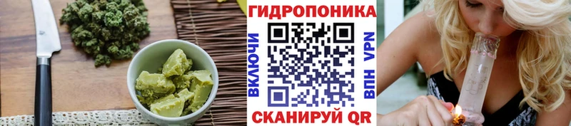 купить наркоту  mega зеркало  Печенье с ТГК конопля  Торопец 