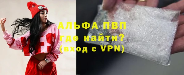 гидра Покачи