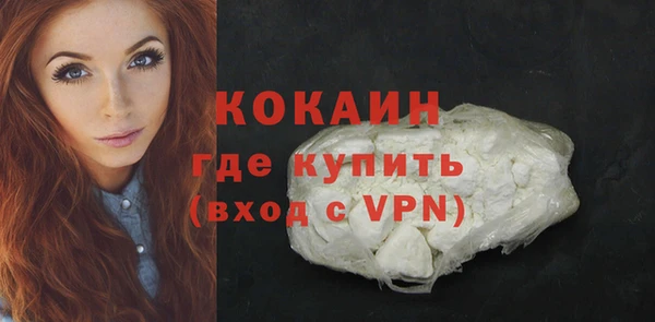 гидра Покачи