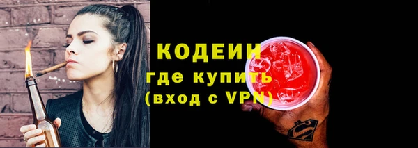 гидра Покачи