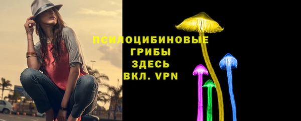 индика Пересвет