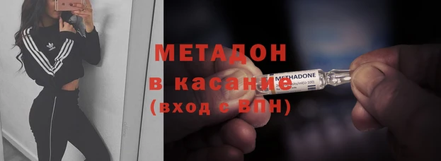гидра Покачи