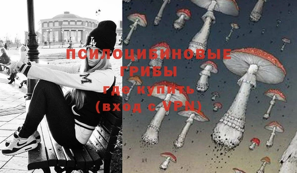 гидра Покачи