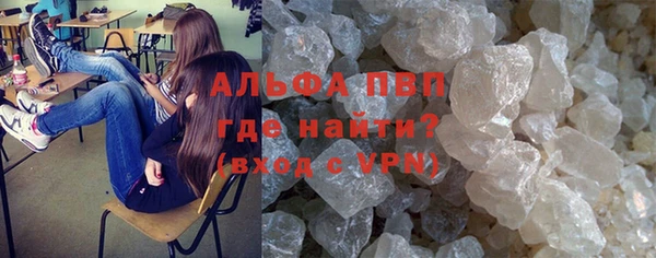 гидра Покачи