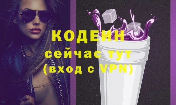 гидра Покачи