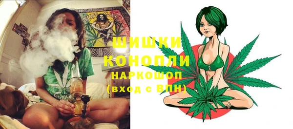 гидра Покачи