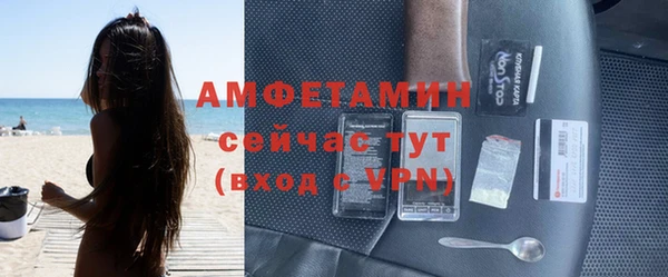 гидра Покачи