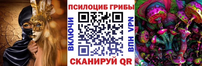 блэк спрут онион  Торопец  Псилоцибиновые грибы Psilocybe 